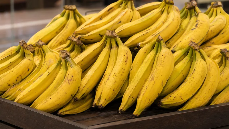 Exposição comercial de Banana da Terra