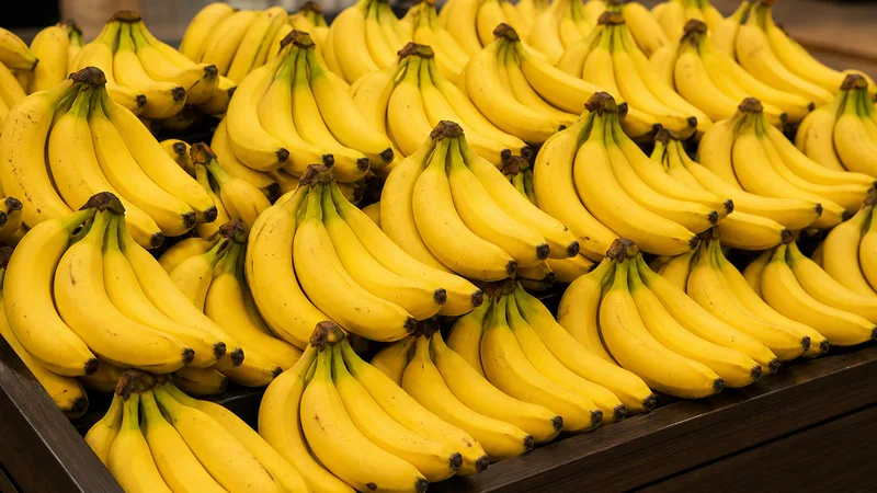 Exposição comercial de Banana Nanica