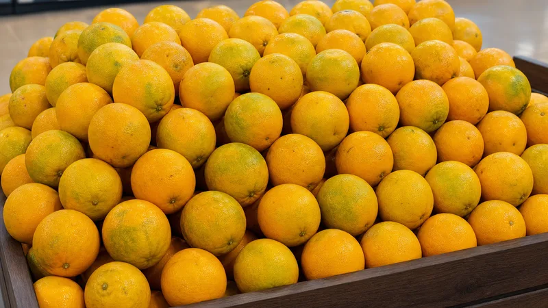 Exposição comercial de Laranja Pera-Rio