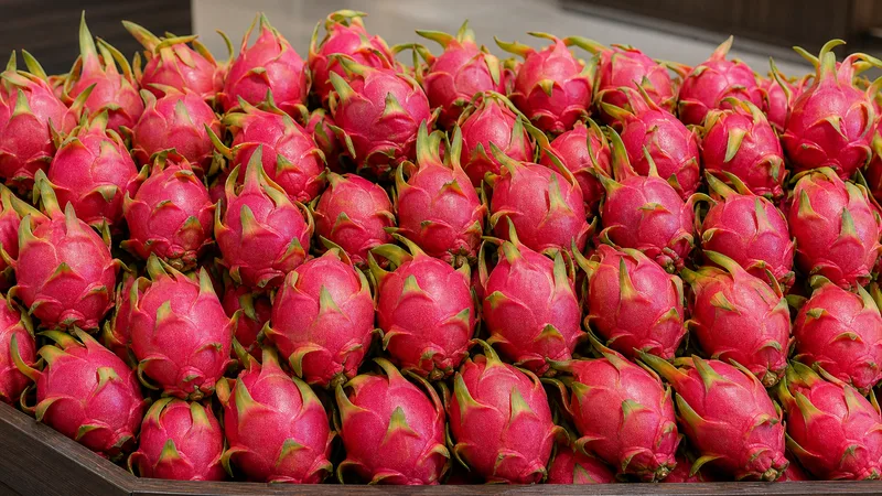 Exposição comercial de Pitaya