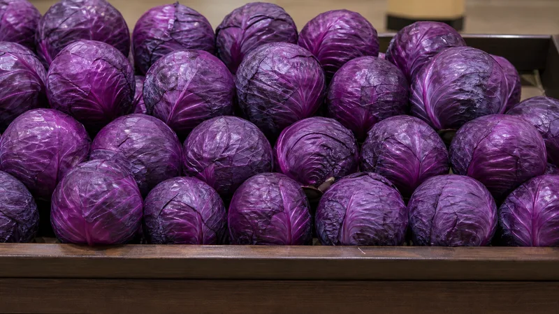 Exposição comercial de Repolho Roxo