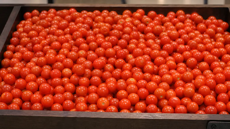 Exposição comercial de Tomate Cereja
