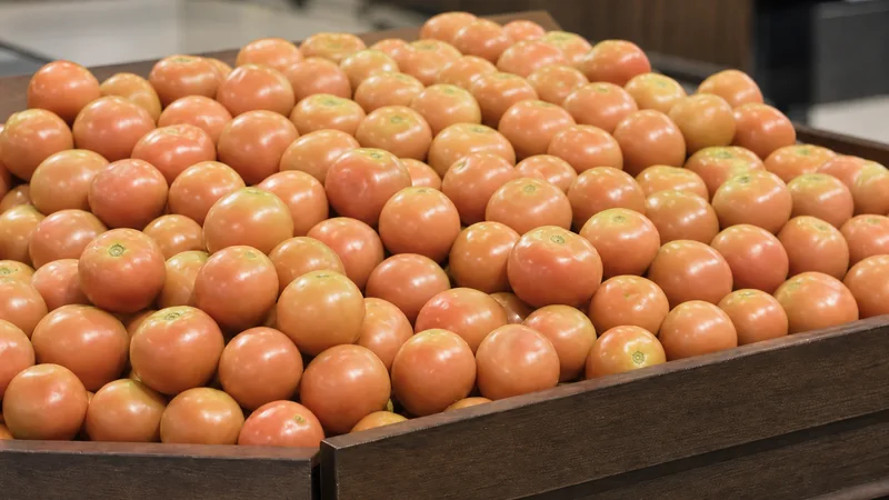Exposição comercial de Tomate Longa Vida